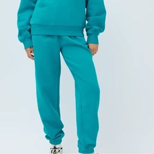 ARITZIA COZY BOYFRIEND FLEECE JOGGERS